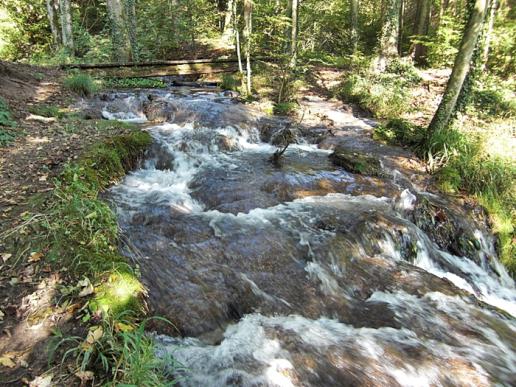 Schluchtensteig 1. Etappe Stuehlingen - Blumberg