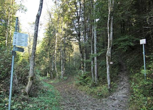 Schluchtensteig 1. Etappe Stuehlingen - Blumberg