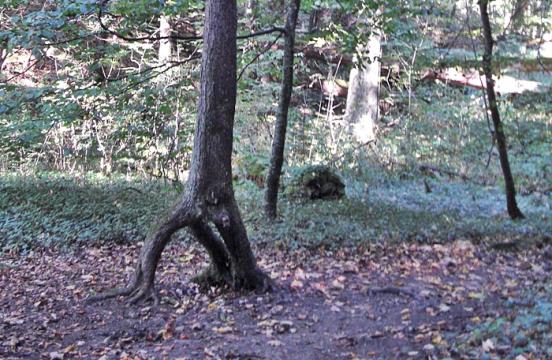 Schluchtensteig 1. Etappe Stuehlingen - Blumberg