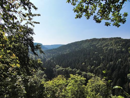 Schluchtensteig 1. Etappe Stuehlingen - Blumberg