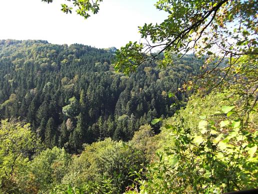 Schluchtensteig 1. Etappe Stuehlingen - Blumberg