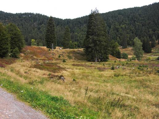 Auswirkungen von Eiszeiten.