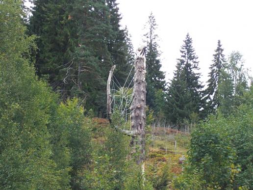 Spinnennetz oder Klettergarten