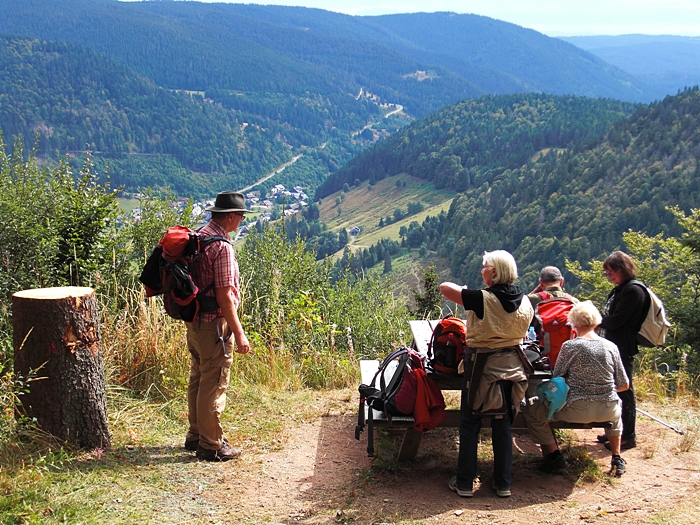 Ausblick auf Menzenschwand Hinterdorf