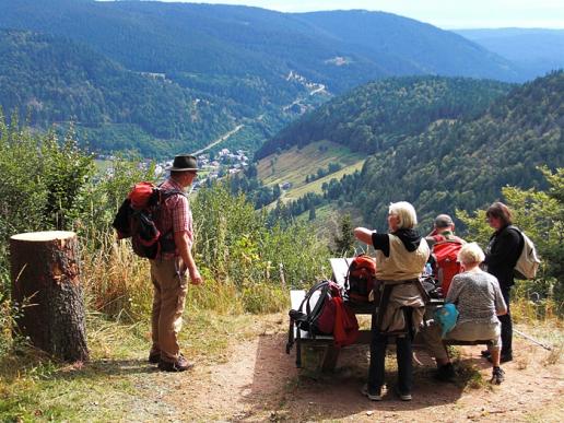 Ausblick auf Menzenschwand Hinterdorf