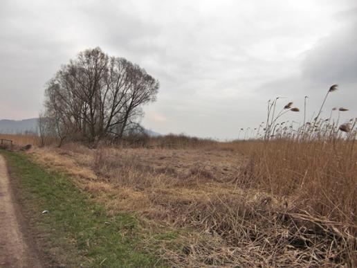 Bodensee - Rundweg