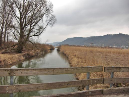 Bodensee - Rundweg