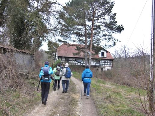 Bodensee - Rundweg